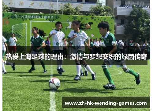 热爱上海足球的理由：激情与梦想交织的绿茵传奇