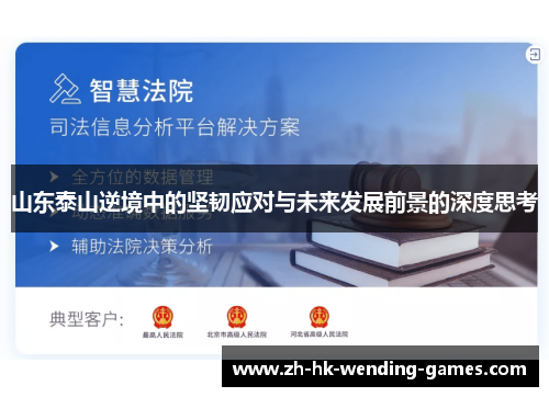山东泰山逆境中的坚韧应对与未来发展前景的深度思考