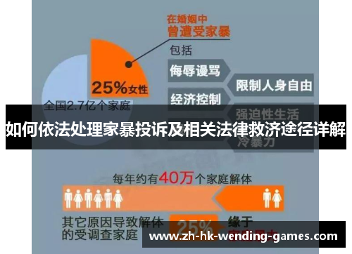 如何依法处理家暴投诉及相关法律救济途径详解