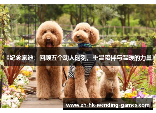 《纪念泰迪：回顾五个动人时刻，重温陪伴与温暖的力量》
