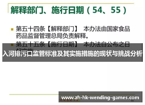 入河排污口监管标准及其实施措施的现状与挑战分析