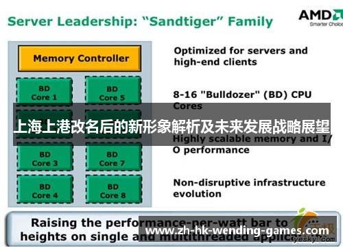 上海上港改名后的新形象解析及未来发展战略展望