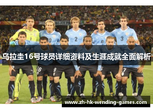 乌拉圭16号球员详细资料及生涯成就全面解析
