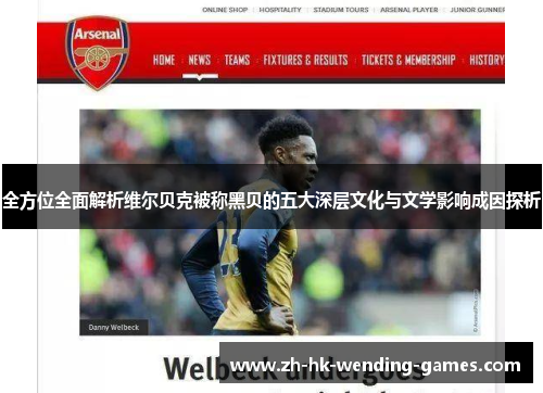 全方位全面解析维尔贝克被称黑贝的五大深层文化与文学影响成因探析