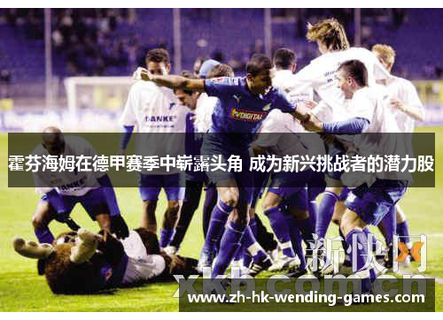 霍芬海姆在德甲赛季中崭露头角 成为新兴挑战者的潜力股 霍芬海姆在德甲赛季中崭露头角 成为新兴挑战者的潜力股